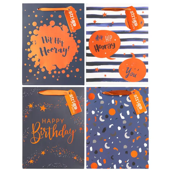 Set 4 Pungi Hartie 18 23(h) 10 cm, 210 gsm