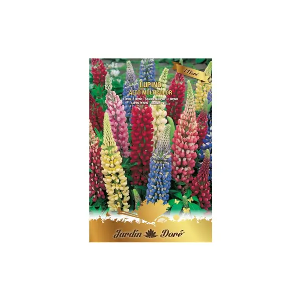 Set 4 x Seminte Flori Lupin, Amestec Multicolor, Raci Sementi