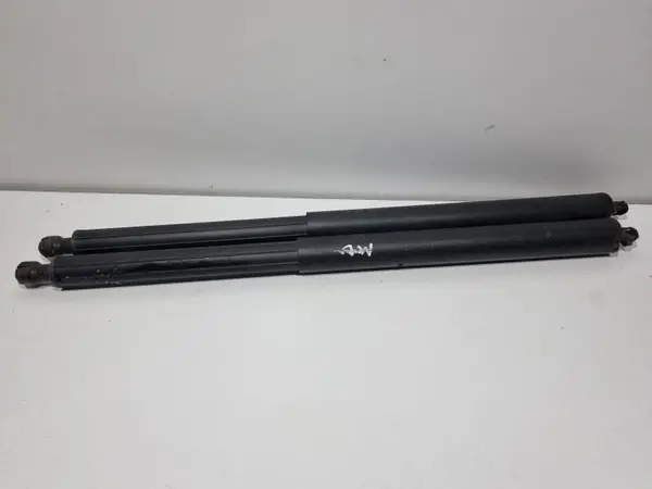 Set amortizoare capota spate Mercedes ML (2009-2011)[w164] facelift