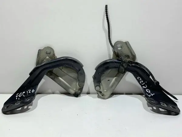 Set balamale capota fata culoare midnight sky BM51-A16801-AD Ford Focus 3 (2011-2015)