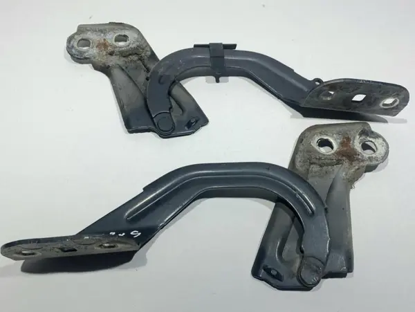 Set balamale capota fata culoare midnight sky BM51-A16801-AD Ford Focus 3 (2011-2015)