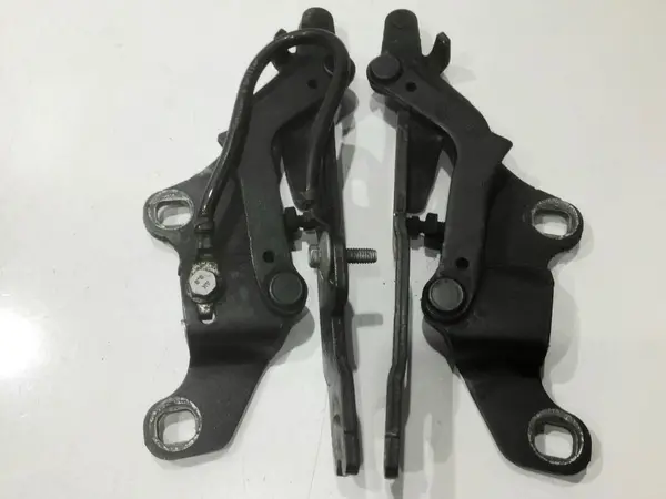 Set balamale capota fata culoare titansilber metallic (354) 7115263 BMW Seria 3 LCI (2008-2011)[e91]