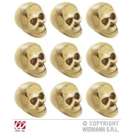 Set capete schelet