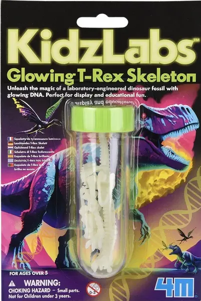Set creativ 4M KidzLabs - Schelet de dinozaur T-Rex strălucitor
