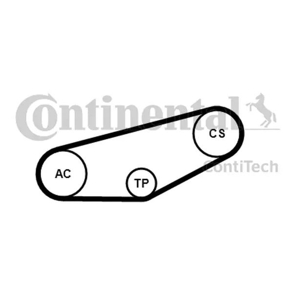 Set curea transmisie cu caneluri CONTINENTAL CTAM 4PK855K1