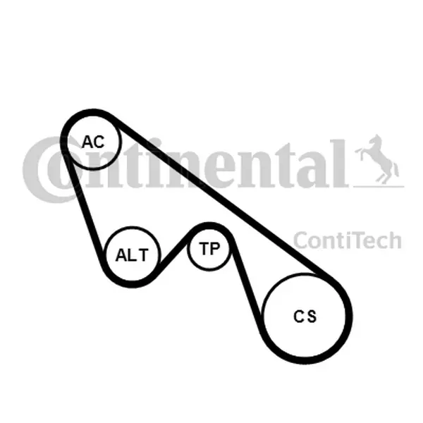 Set curea transmisie cu caneluri CONTINENTAL CTAM 5PK1150K1