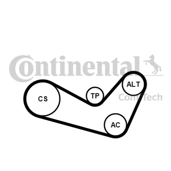 Set curea transmisie cu caneluri CONTINENTAL CTAM 6PK1080K1