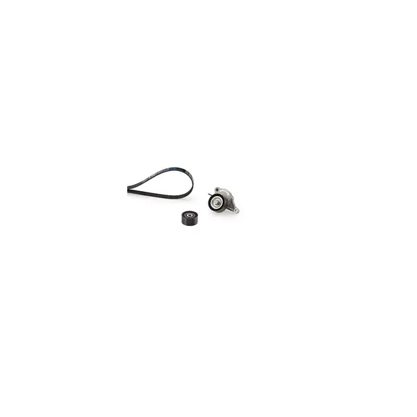 Set curea transmisie cu caneluri GATES K027PK1675