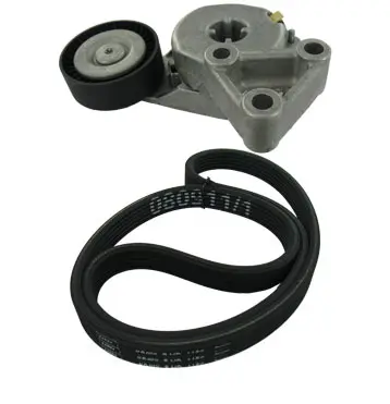 Set curea transmisie cu caneluri SKF VKMA 31204