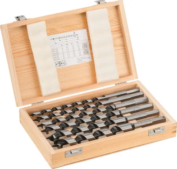 Set de burghie pentru șurubelniță Bosch - 6 piese