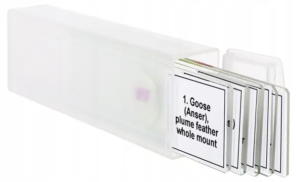 Set de microdispozitive Levenhuk - Discovery Prof DPS 5/Păsări