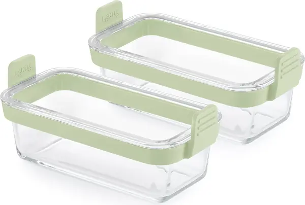 Set forme pentru friteuză cu aer cald Lekue - 2 bucăți, transparente/verzi