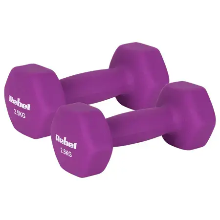 Set gantere Rebel Active RBA-2330-2.5, 2 x 2.5kg, fonta si invelis de neopren (Mov)