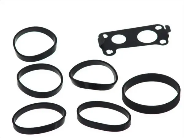 Set garnituri galerie admisie MERCEDES C T-MODEL (S203), C (W203), CLK (C209), E T-MODEL (S210), E T-MODEL (S211), E (VF210), E (VF211), E (W210), E (W211), G (W461), G (W463), M (W163) 2.7D dupa 1999