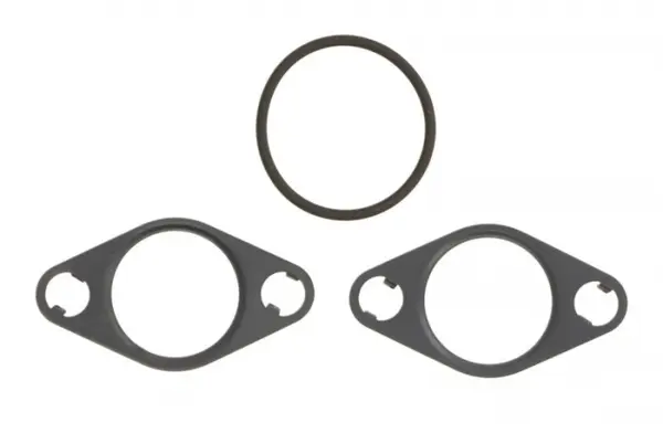 Set garnituri supapa EGR potrivit DS DS 3 DS 3, DS 4 II, DS 7; CITROEN BERLINGO, BERLINGO MINIVAN, C3 C3 ORIGIN III, C3 AIRCROSS II, C4 CACTUS, C4 III, C4 SPACETOURER 1.5D 06.17-