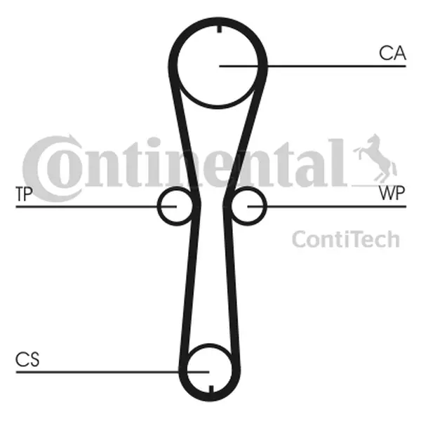 Set pompa apa + curea dintata CONTINENTAL CTAM CT915WP1