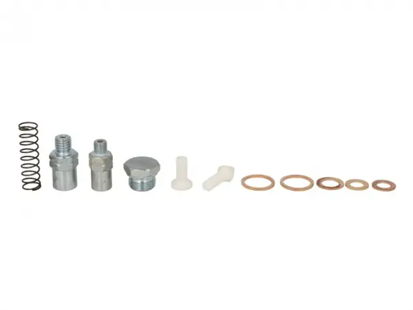 Set reparati pompa combustibil