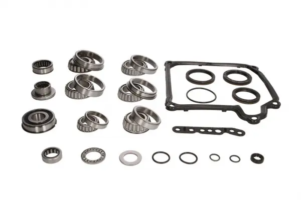 Set rulment cutie viteze AUDI A3; SEAT ALTEA, ALTEA XL, LEON; SKODA OCTAVIA II, SUPERB II; VW EOS, GOLF PLUS, GOLF V, JETTA III BEETLE, PASSAT, SCIROCCO, SHARAN, TOURAN 1.9D 2.0D