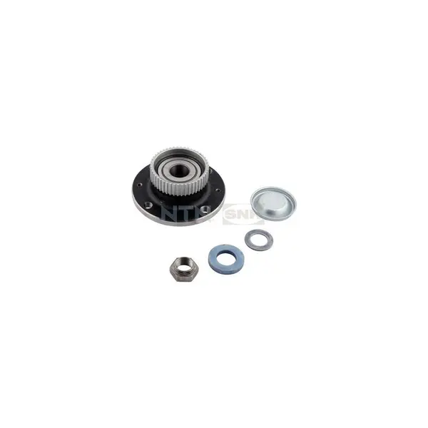Set rulment roata SNR R159.39