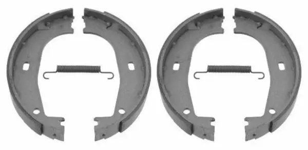 Set saboti frana, frana de mana DELPHI LS2166