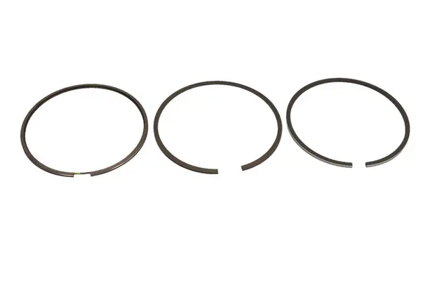 Set segmenti piston KOLBENSCHMIDT 800017810000