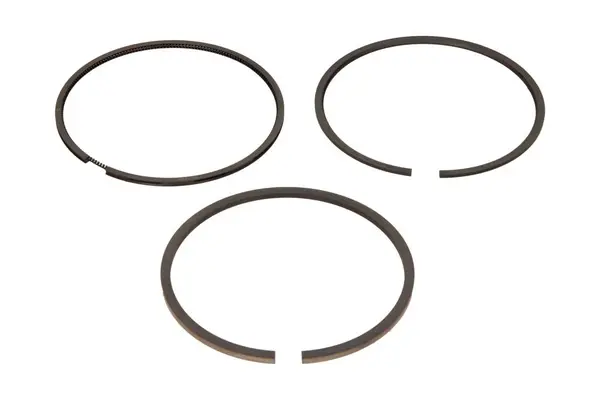 Set segmenti piston MAHLE 022 13 N0
