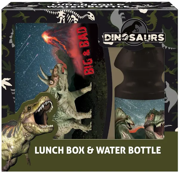 Set sticlă și cutie pentru mâncare Derform Dinosaur 17
