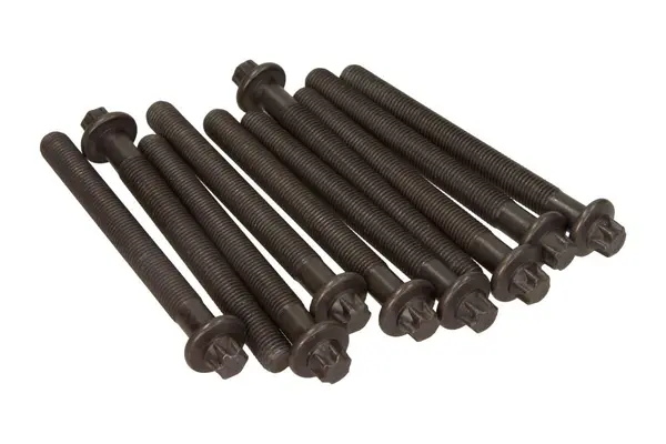 Set surub, chiulasa VICTOR REINZ 14-32154-01