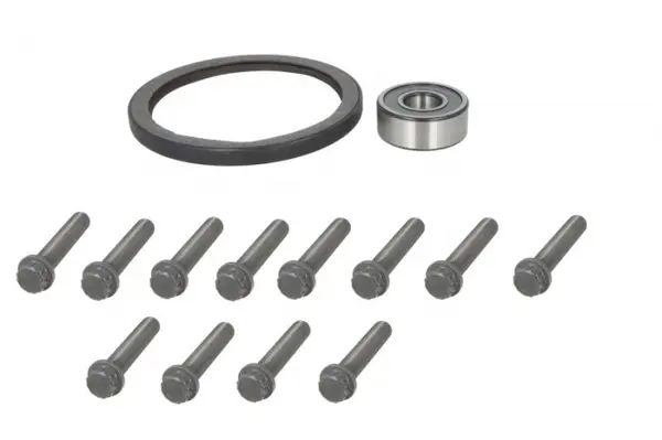 Set surub volanta potrivit MERCEDES ACTROS MP4 MP5, ANTOS, AROCS 07.11-