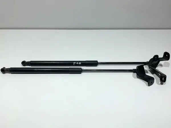 Set telescoape capota spate 7239871 BMW Seria 1 (2014-2019) [F21 LCI]