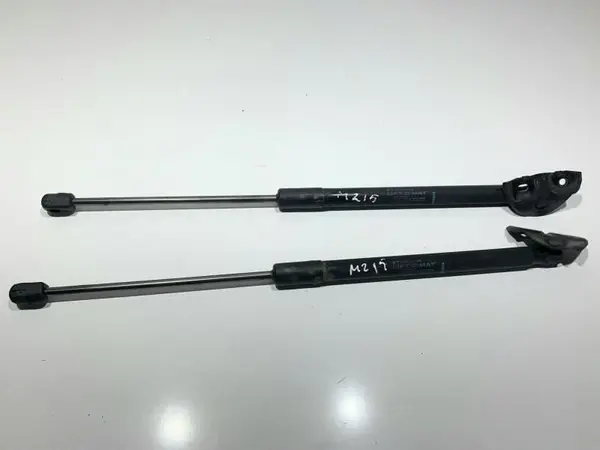 Set telescoape haion 844300009R Renault Megane 3 facelift (2012-2016)