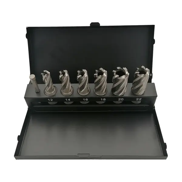 Set-Trusa Carote HSS cu prindere WELDON și pin centrare - 7 piese