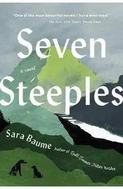 Seven Steeples - Sara Baume