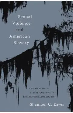 Sexual Violence and American Slavery: The Making of a Rape Culture in the Antebellum South - Shannon Eaves
