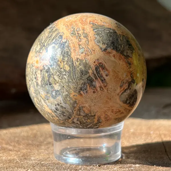 Sfera jasp ocean model 1