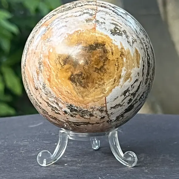 Sfera jasp ocean model 8
