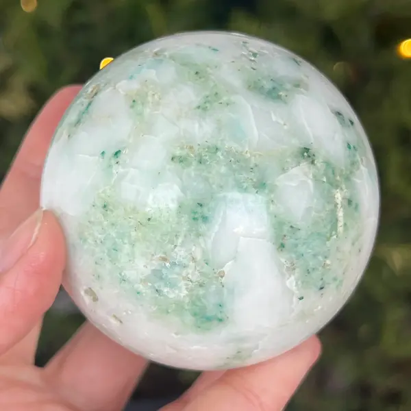 Sfera Phoenix | Model 4