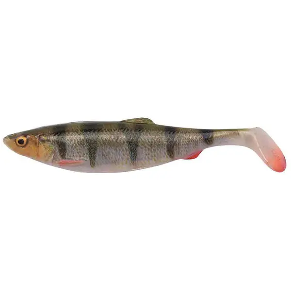 Shad 4D Herring Shad 16cm 28G Perch 2buc