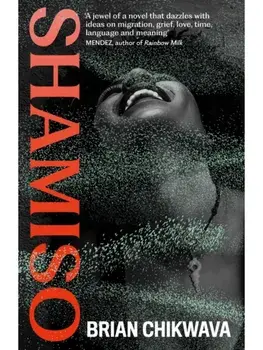 Shamiso. Main, Hardback/Brian Chikwava