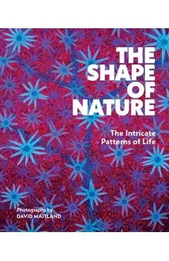Shape of Nature - David Maitland