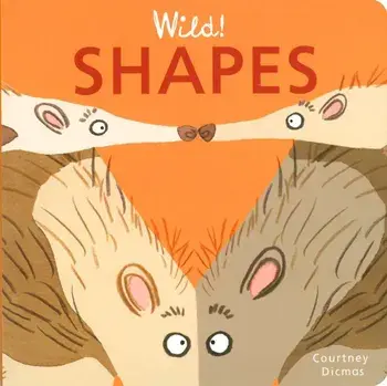 Shapes, Hardcover/Courtney Dicmas