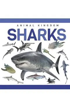 Sharks - Alex Hall