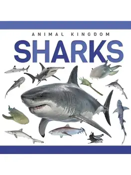 Sharks, Hardback/Alex Hall