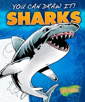 Sharks, Hardback/Maggie Rosier