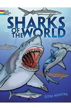 Sharks of the World Coloring Book - Llyn Hunter