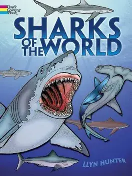 Sharks of the World Coloring Book, Paperback/Llyn Hunter