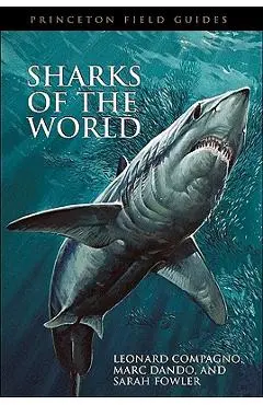 Sharks of the World - Leonard Compagno