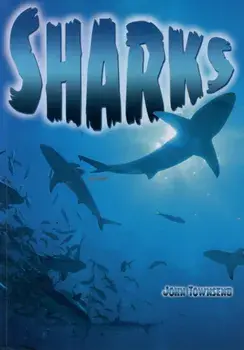Sharks, Paperback/John Townsend
