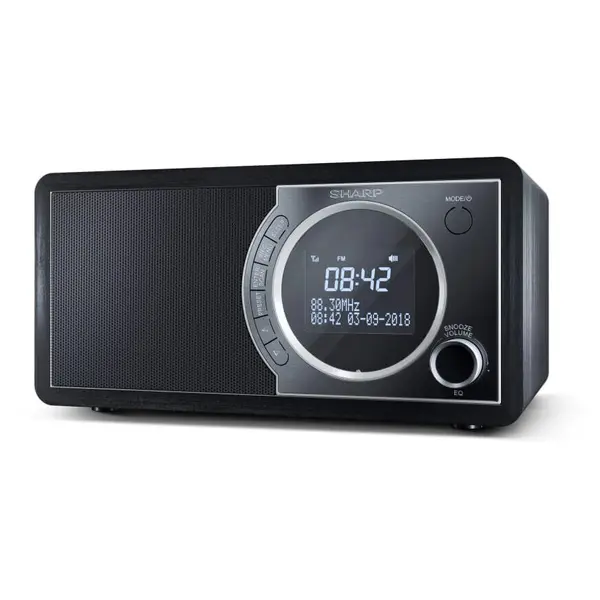 Sharp Radio Sharp DR-450BK dab +/RDS FM, Negru