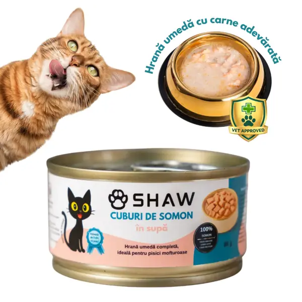 SHAW Cuburi, Somon, conservă hrană umedă fără cereale pisici, apetit capricios, (în supă), 80g